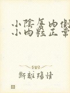 小阴唇内侧皮肤小肉粒正常吗