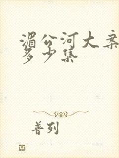 湄公河大案总共多少集