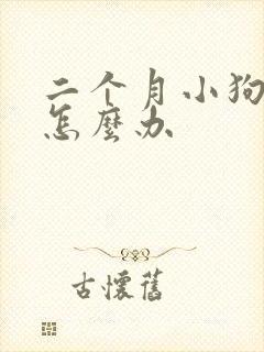 二个月小狗拉稀怎么办