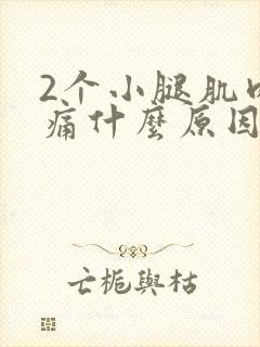 2个小腿肌肉酸痛什么原因