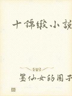 十锦缎小说