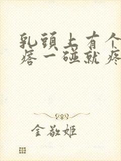 乳头上有个小疙瘩一碰就疼痛