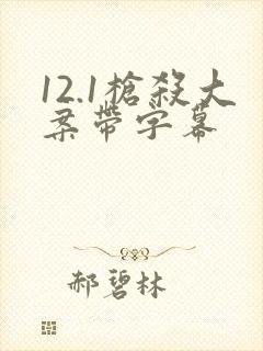 12.1枪杀大案带字幕封面