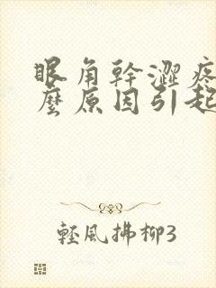 眼角干涩疼痛什么原因引起的