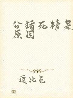 公猪死精是什么原因封面