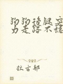 狗狗后腿突然无力走路不稳怎么办封面