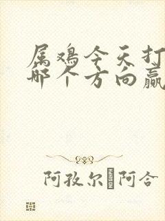 属鸡今天打牌坐哪个方向赢封面