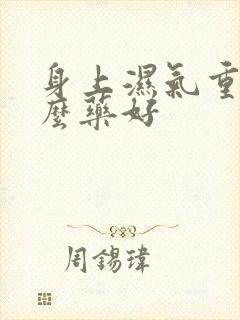 身上湿气重吃什么药好