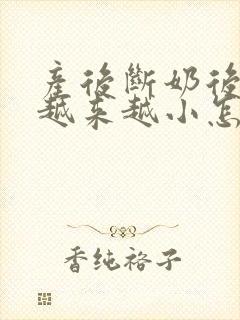 产后断奶后胸部越来越小怎么办封面