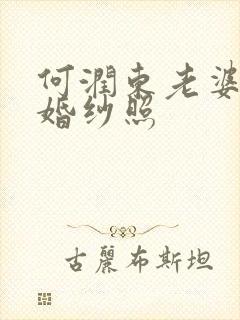 何润东老婆照片婚纱照