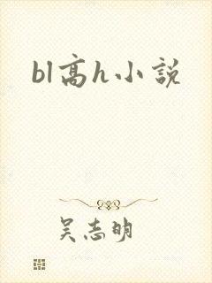 bl高h小说