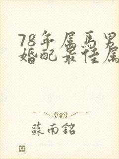 78年属马男人婚配最佳属相封面