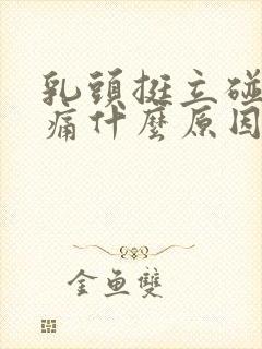 乳头挺立碰了疼痛什么原因