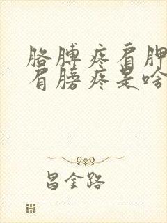 胳膊疼肩胛骨疼肩膀疼是啥原因