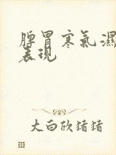 脾胃寒气湿气重表现