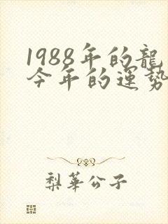 1988年的龙今年的运势如何