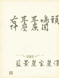 右耳耳鸣头晕是什么原因封面