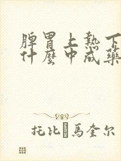 脾胃上热下寒吃什么中成药