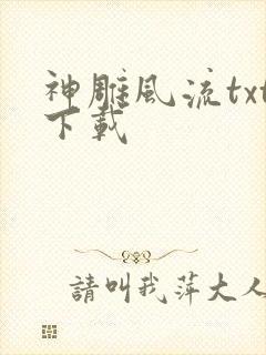 神雕风流txt下载