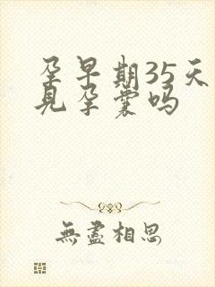 孕早期35天能见孕囊吗