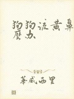 狗狗流黄鼻涕怎么办