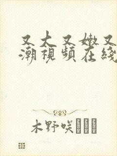 又大又嫩又爽高潮视频在线观看封面