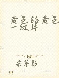 黄色的黄色录像一级片