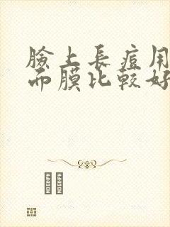 脸上长痘用什么面膜比较好