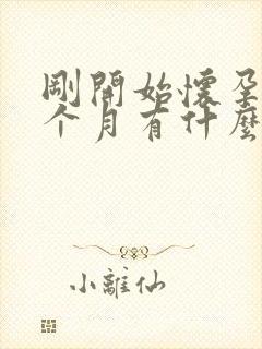 刚开始怀孕第一个月有什么反应吗