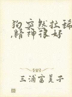 狗突然拉稀带血,精神很好