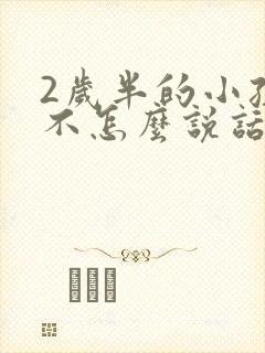 2岁半的小孩还不怎么说话,怎么办