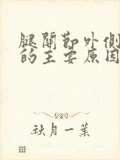 腿关节外侧疼痛的主要原因