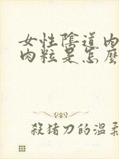 女性阴道内有小肉粒是怎么回事