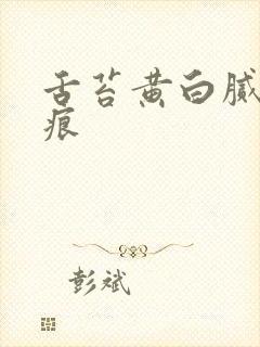 舌苔黄白腻有齿痕封面