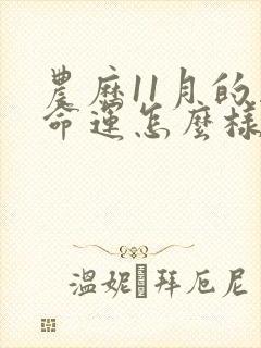 农历11月的马命运怎么样