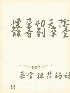 怀孕40天阴超能看到孕囊吗