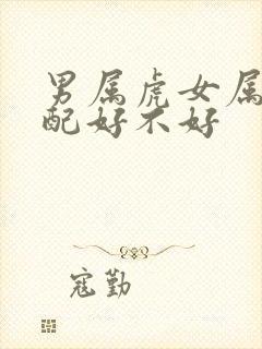 男属虎女属龙婚配好不好