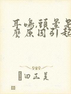 耳鸣,头晕是什么原因引起的