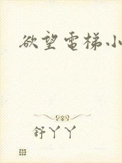 欲望电梯小说封面