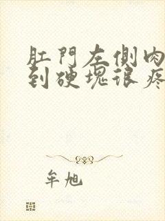 肛门左侧肉里摸到硬块很疼