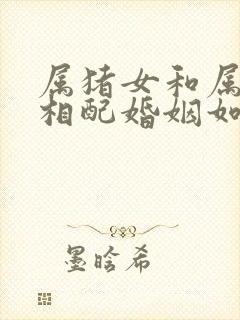 属猪女和属马男相配婚姻如何封面