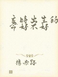 亥时出生的男孩命好不好封面