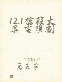 12.1枪杀大案 电视剧