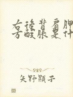 右后背肩胛骨下方酸胀是什么原因封面