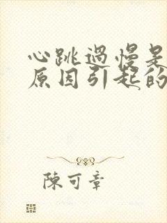 心跳过慢是什么原因引起的