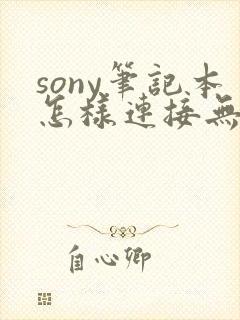 sony笔记本怎样连接无线网络