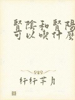 肾阴和肾阳都虚可以吃什么药治疗