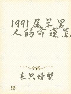 1991属羊男人的命运怎么样