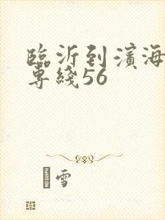 临沂到滨海物流专线56