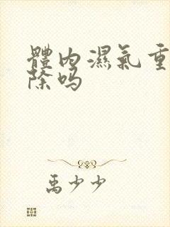 体内湿气重能去除吗